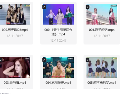 抖音热卖车载音乐+视频合集