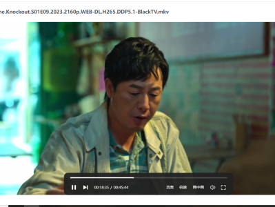 狂飙 (2023) 4K 高码率 1080P 去片头片尾 国语中字 全39集 无水印 2023高分剧 张译 / 张颂文